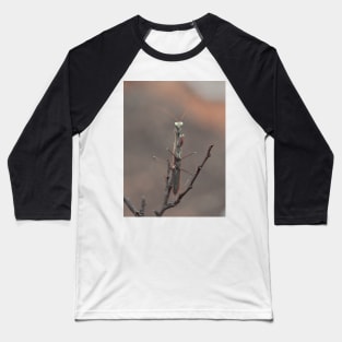 praying mantis Baseball T-Shirt